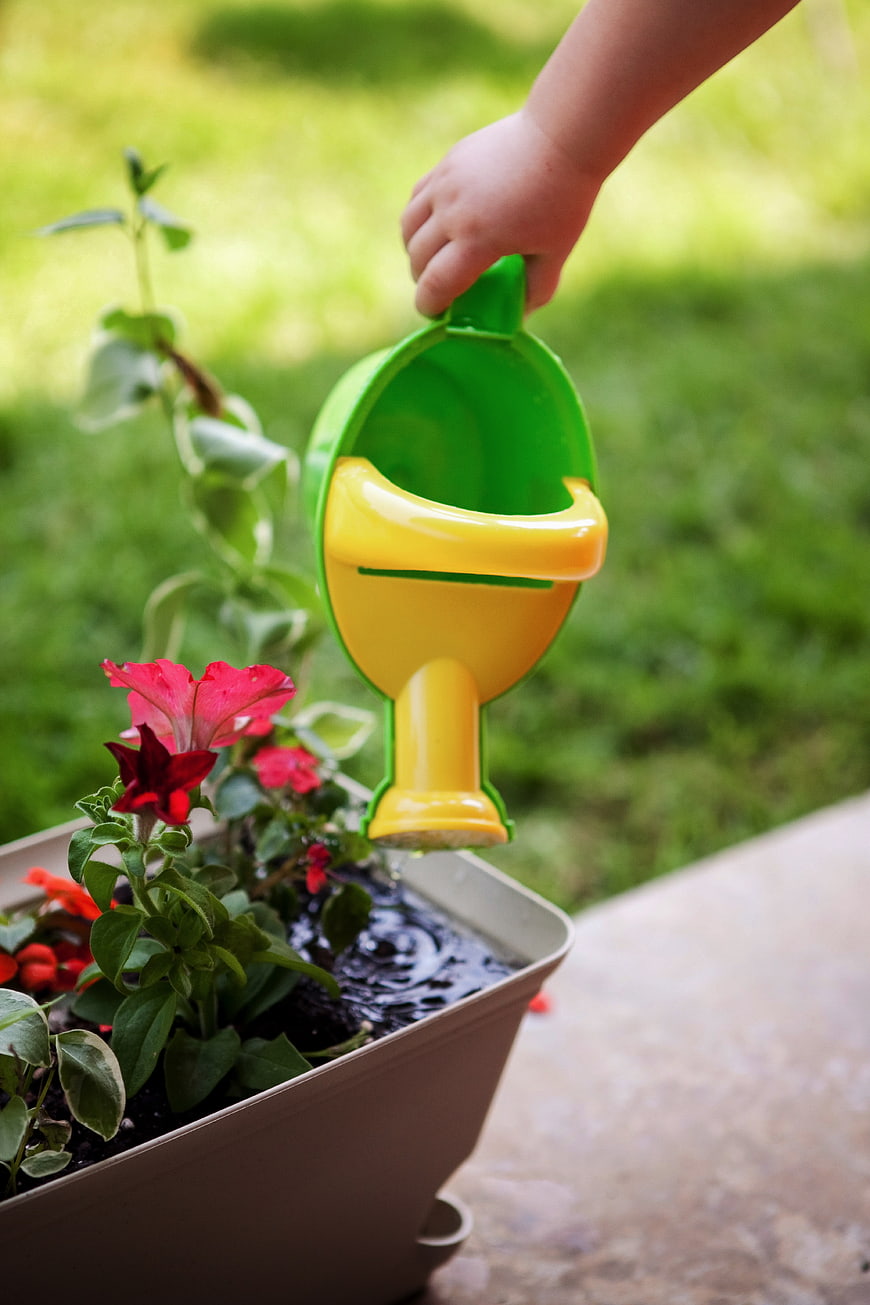 Toddler Hand Watering Flowers with Toy Can