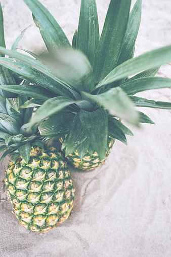 Fresh Pineapples on Sand Beach Background
