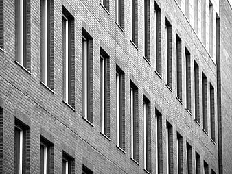 Black and White Modern Brick Building Facade with Windows