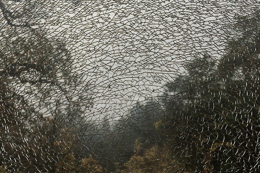Cracked Safety Glass Texture with Blurred Forest Background