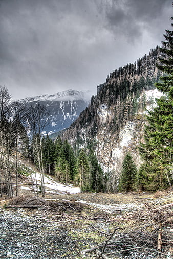 Dramatic Alpine Landscape with Snowy Peaks and Pine Forest