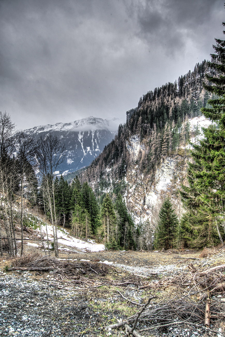 Dramatic Alpine Landscape with Snowy Peaks and Pine Forest