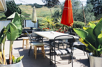 Sunny wooden deck with outdoor dining table and vibrant plants