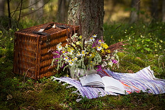 Wicker picnic basket with wildflowers and open book in forest