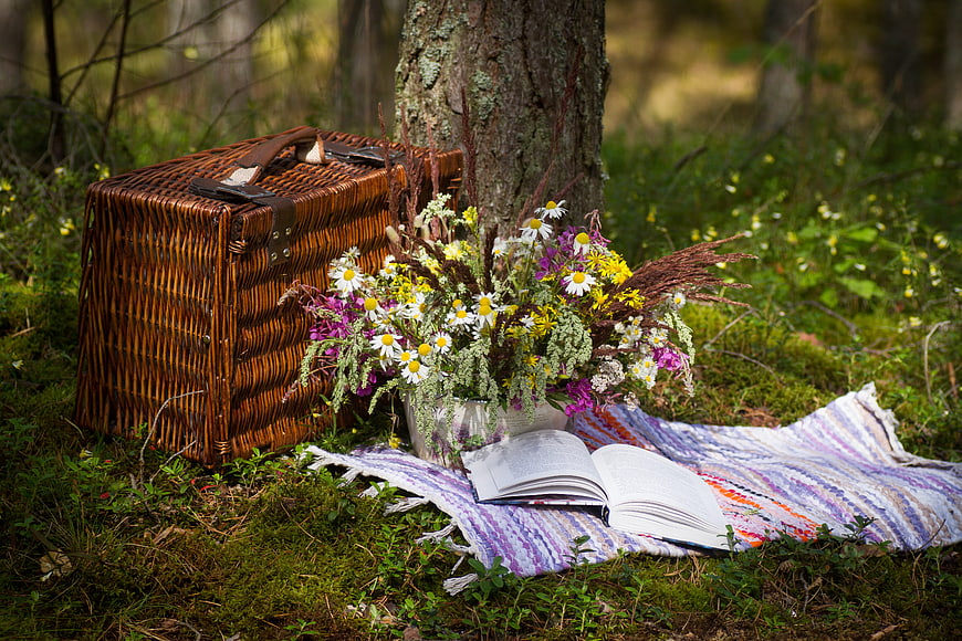 Wicker picnic basket with wildflowers and open book in forest