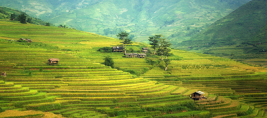 Lush Green Rice Terraces in Mountainous Landscape