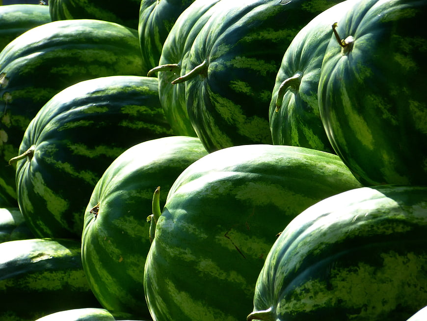 Pile of Fresh Green Watermelons in Sunlight