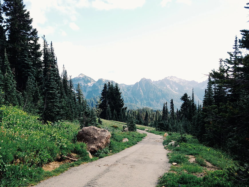Winding Gravel Road Through Forest to Mountains