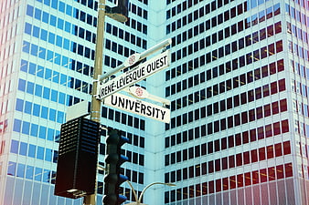 Montreal Street Signs Rene-Levesque and University