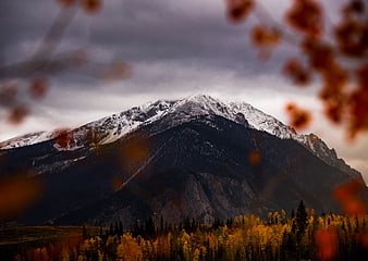 Snow-Capped Mountain Peak with Autumn Forest and Blurred Foreground