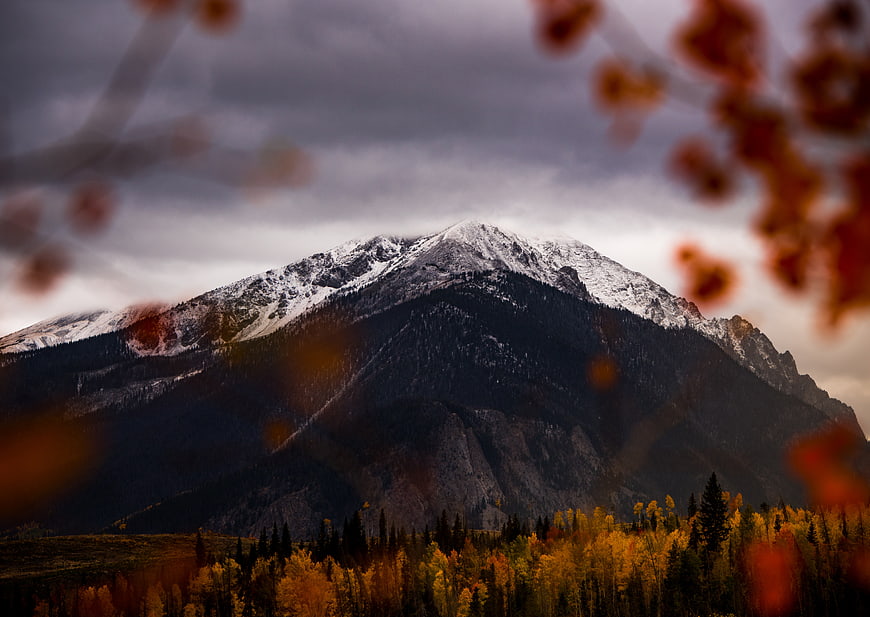 Snow-Capped Mountain Peak with Autumn Forest and Blurred Foreground