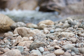 Close-up of smooth river stones on a rocky stream bank