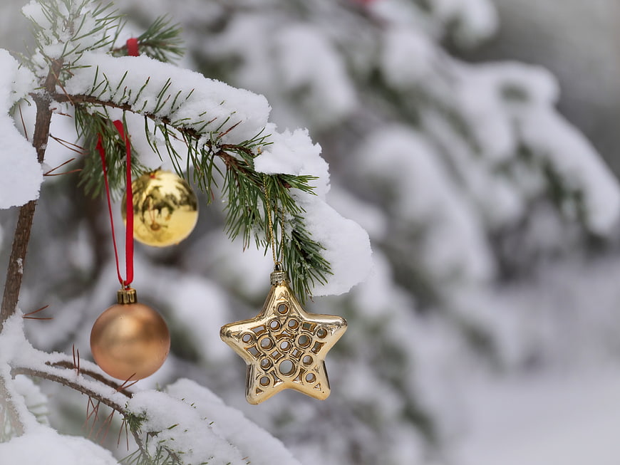 Golden Christmas Ornaments on Snowy Pine Branch