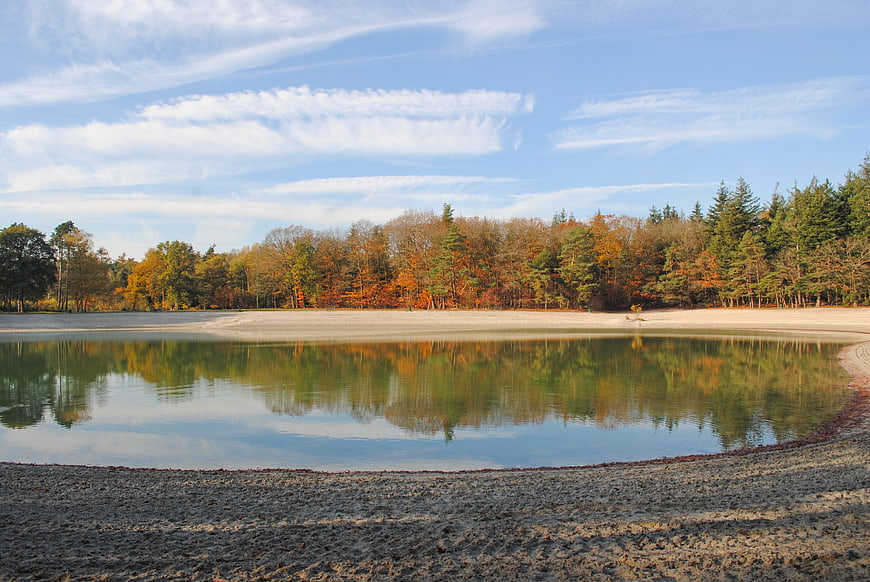 Serene Autumn Lake with Forest Reflections