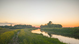 Serene River Landscape at Sunset with Wildflowers