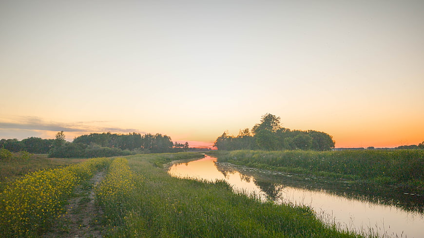 Serene River Landscape at Sunset with Wildflowers