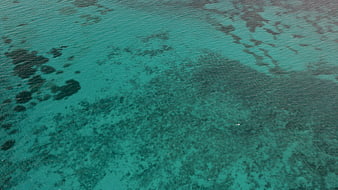Aerial View of Turquoise Ocean Water with Coral Reef Textures