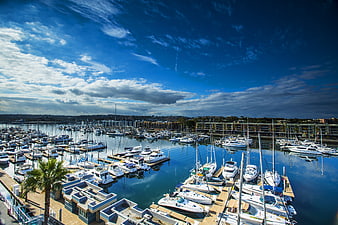 Aerial View of Busy Marina with Boats and Blue Sky