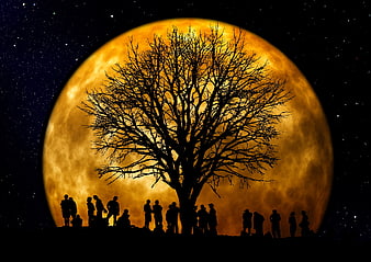 Silhouette of People and Tree Against Giant Orange Moon