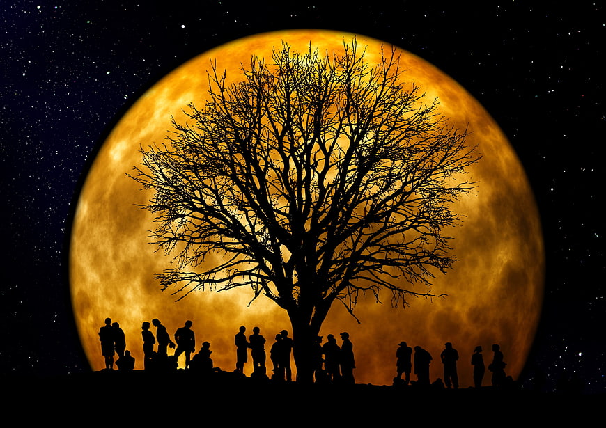 Silhouette of People and Tree Against Giant Orange Moon