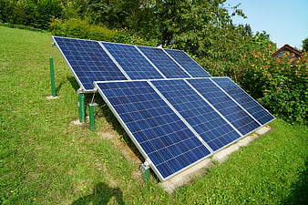 Ground-mounted solar panel array in a green garden