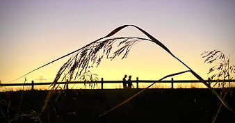 Silhouette of couple kissing on fence at sunset