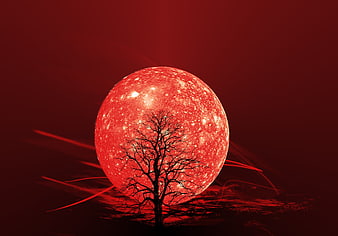 Red Moon Behind Silhouette Tree Abstract Dark Background