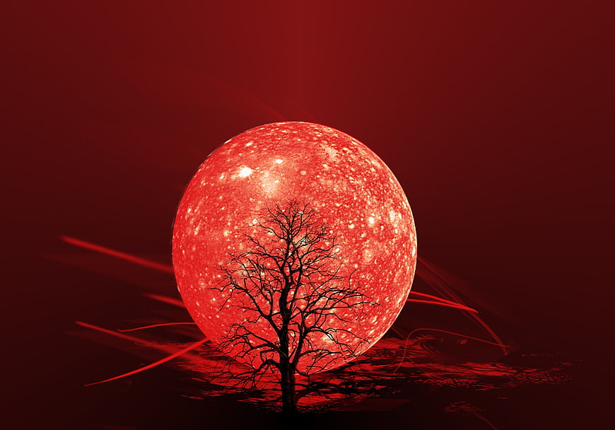 Red Moon Behind Silhouette Tree Abstract Dark Background