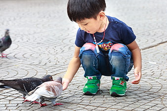 Young boy feeding pigeons on paved city square