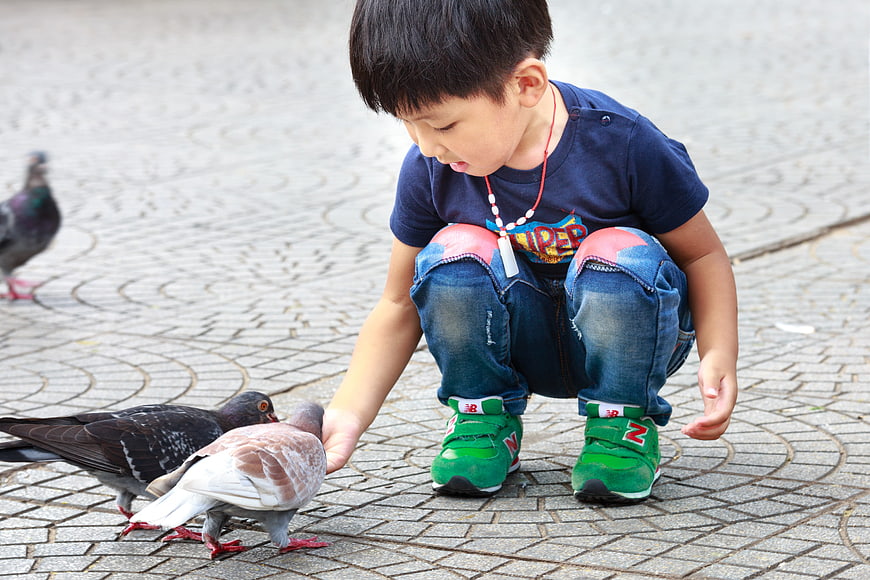 Young boy feeding pigeons on paved city square