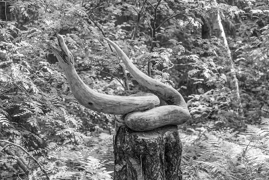 Wooden snake sculpture in black and white forest setting