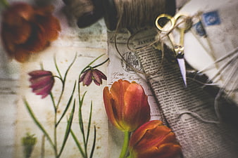 Vintage orange tulips and scissors on old newspaper background