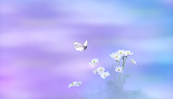 White butterfly flying above white flowers against a dreamy purple and blue gradient background