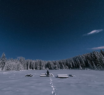 Lone figure walking in snowy forest under starry night sky