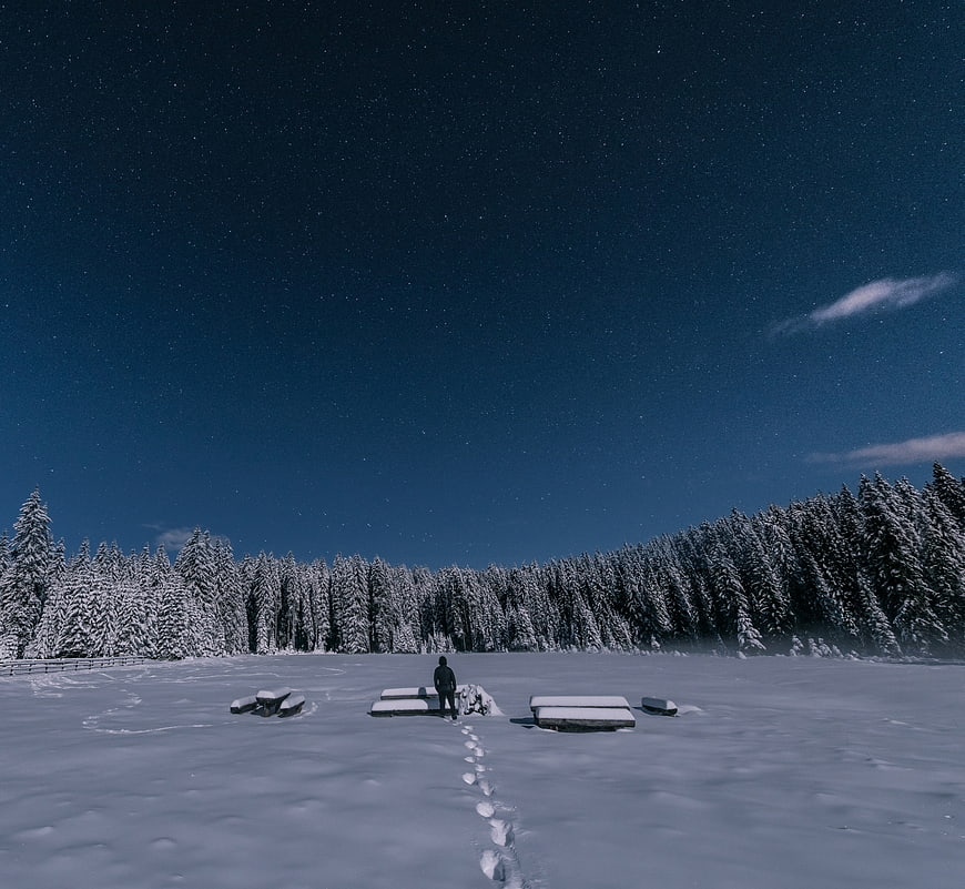 Lone figure walking in snowy forest under starry night sky