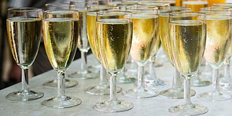 Row of Champagne Flutes Filled with Sparkling Wine on a Table