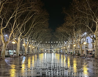 Rainy Night Promenade with Reflections and Street Lights