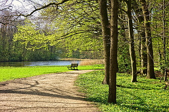 Serene Park Path with Bench Overlooking Lake in Spring