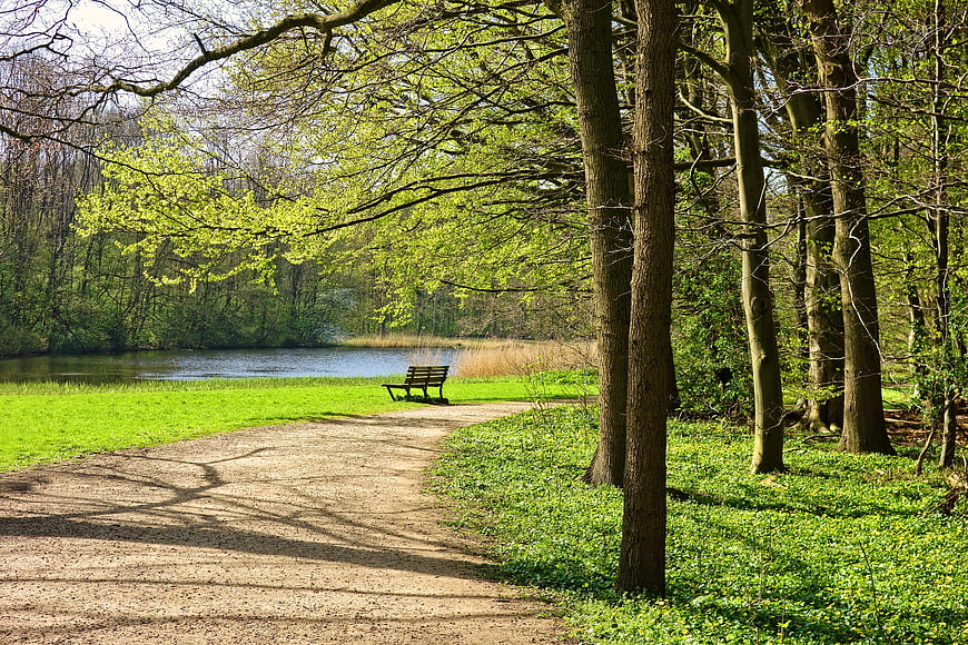 Serene Park Path with Bench Overlooking Lake in Spring