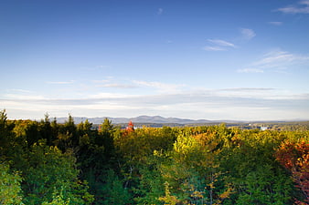 Autumn Forest Landscape with Distant Mountains and Blue Sky