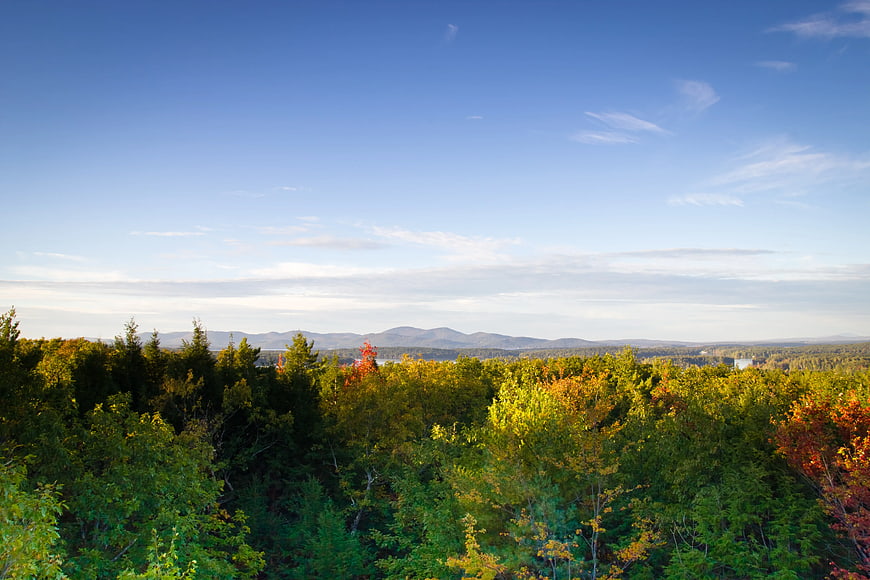 Autumn Forest Landscape with Distant Mountains and Blue Sky