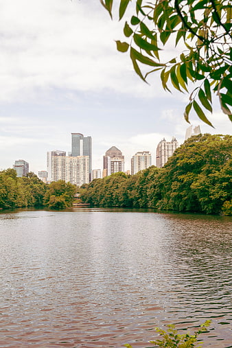 Serene River View with City Skyline and Green Trees