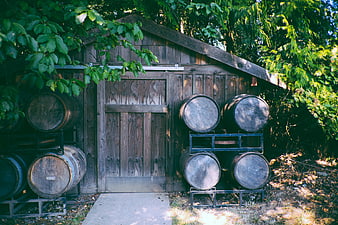 Rustic wooden shed with stacked barrels in forest