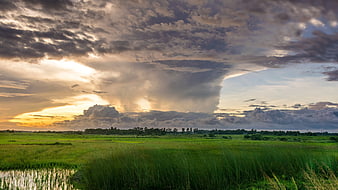 Dramatic sunset over lush green rice paddy fields