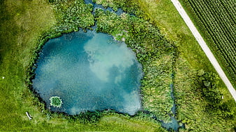 Aerial View of Turquoise Pond in Green Meadow