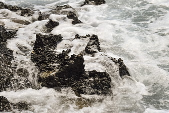 Foamy Sea Waves Crashing on Dark Rocky Shore