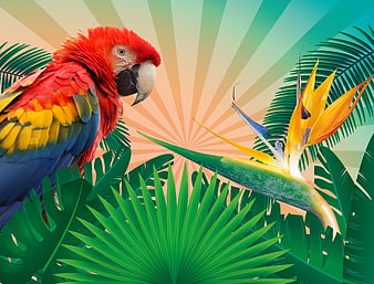 Colorful Scarlet Macaw Parrot in Tropical Jungle Setting