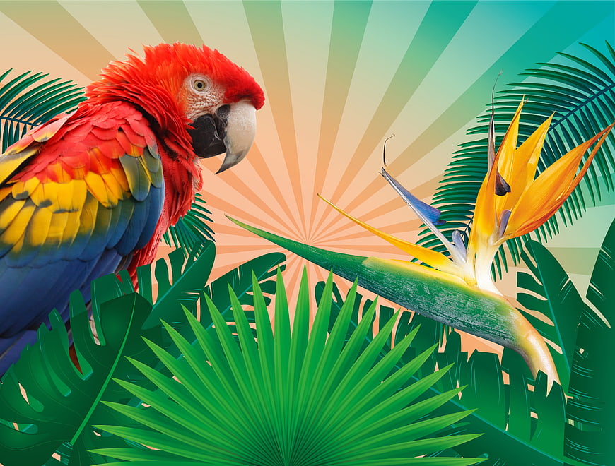 Colorful Scarlet Macaw Parrot in Tropical Jungle Setting