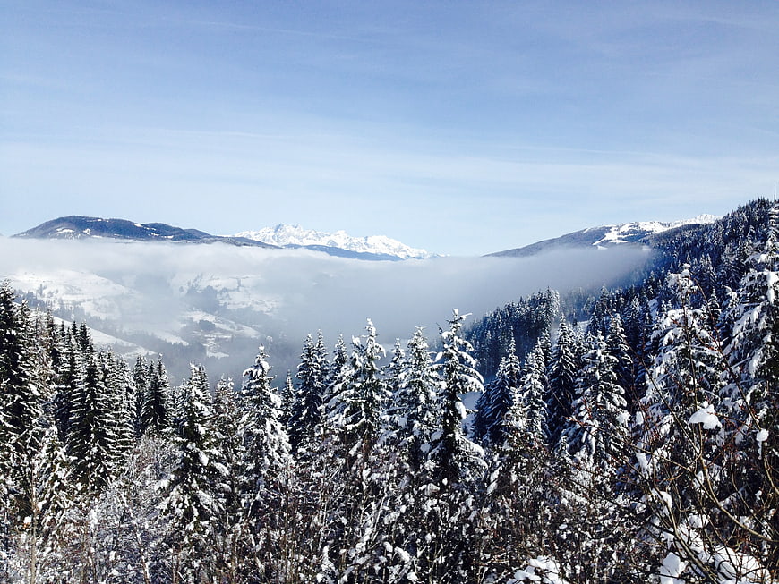 Snowy Mountain Landscape with Pine Forest and Foggy Valley