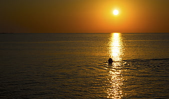 Silhouette of swimmer in ocean at golden sunset